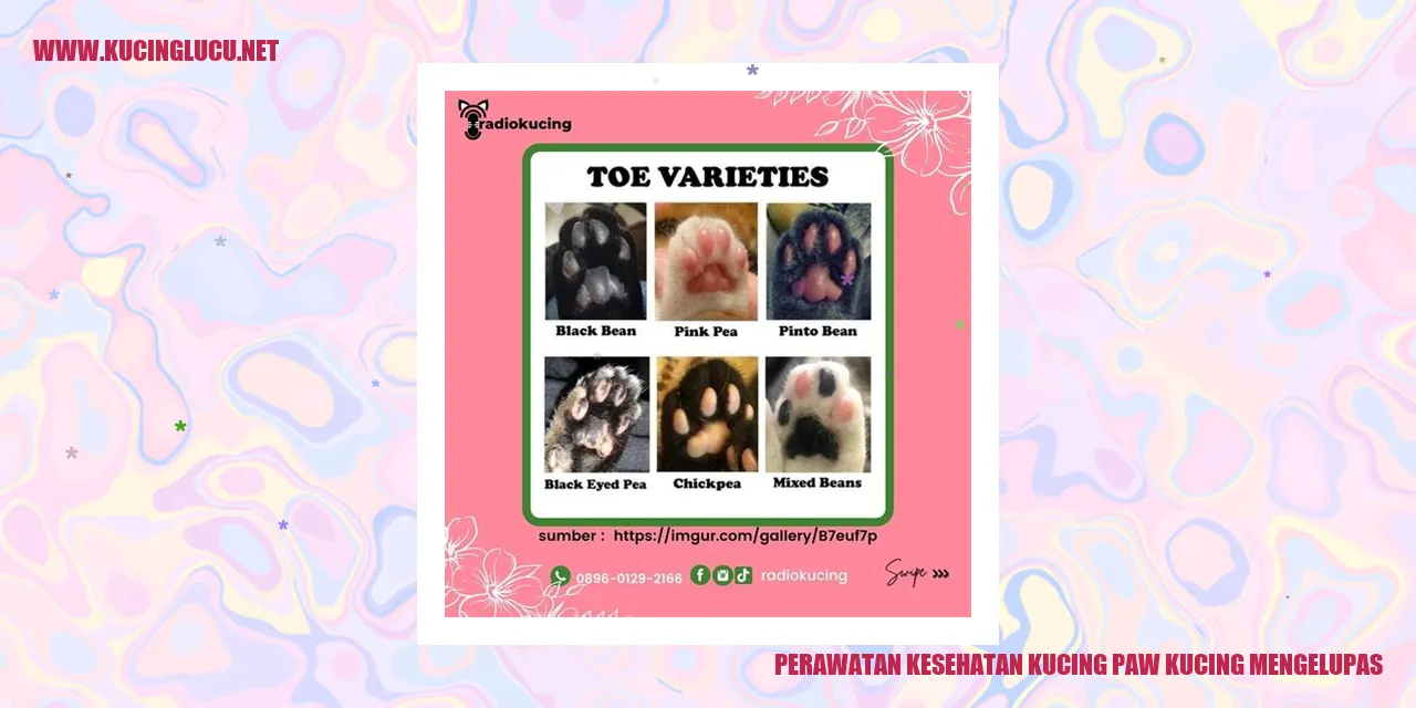 Gambar Paw Kucing Mengelupas