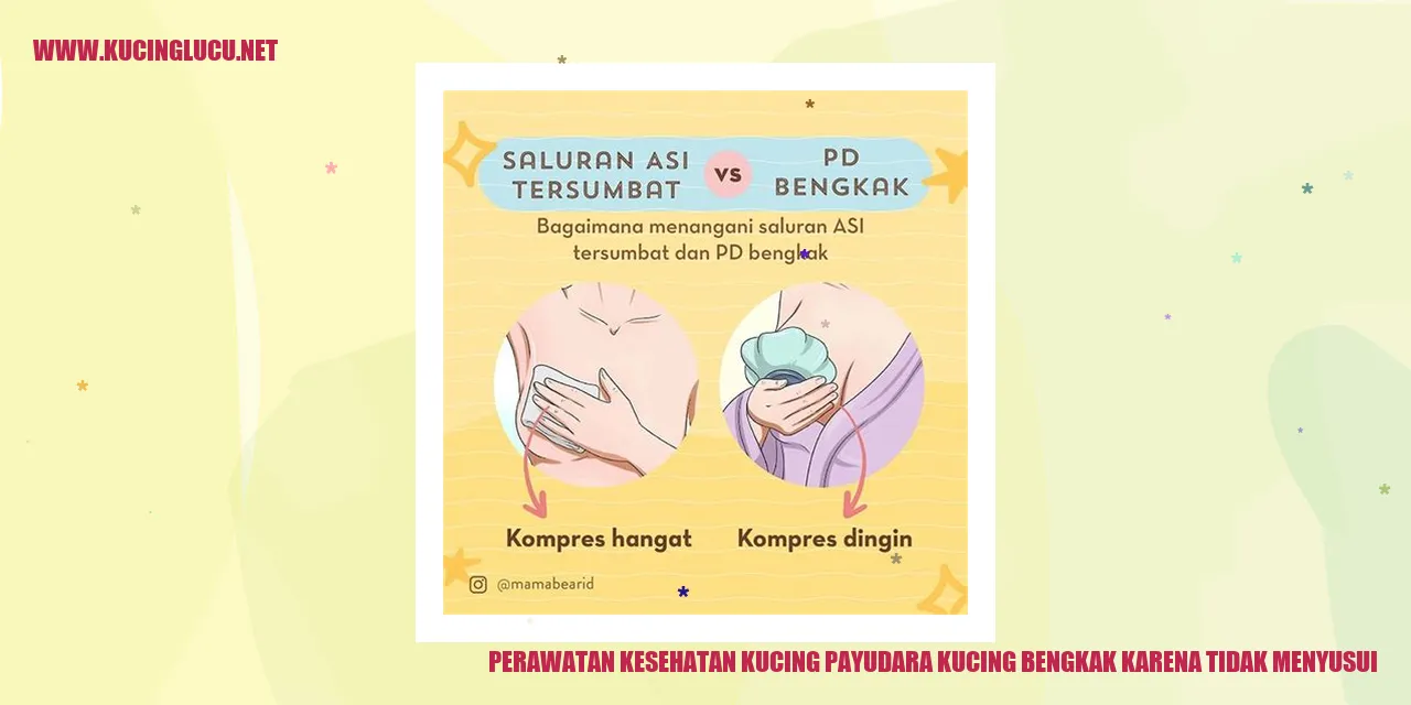 Gambar Kucing dengan Pembengkakan pada Payudara