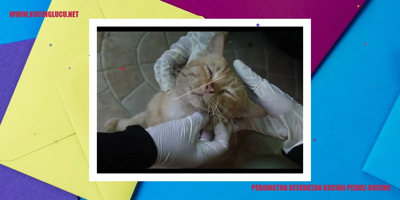 Kucing Sehat