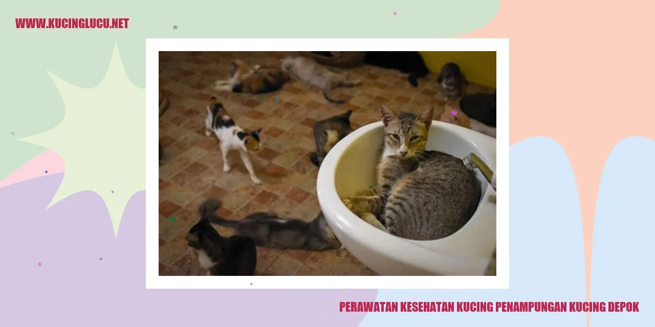 Perawatan Kesehatan Kucing