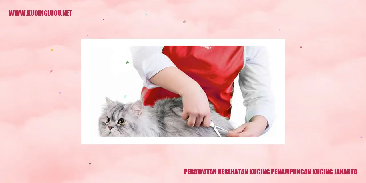 Perawatan Kesehatan Kucing penampungan kucing jakarta