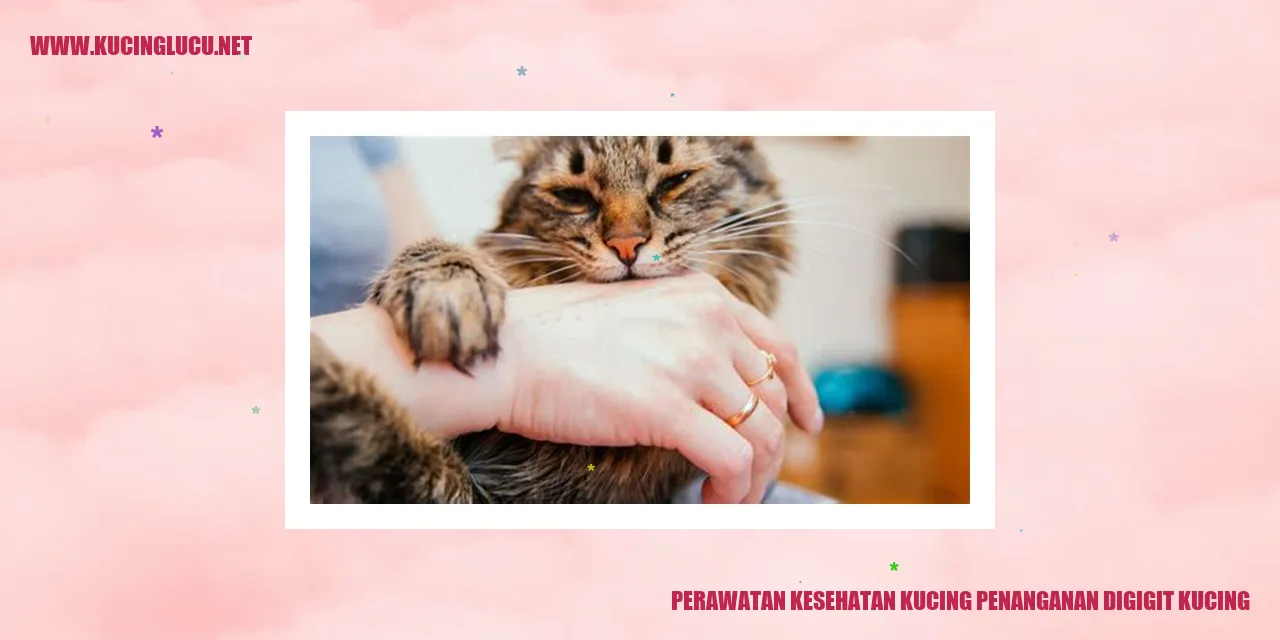 Perawatan Kesehatan Kucing