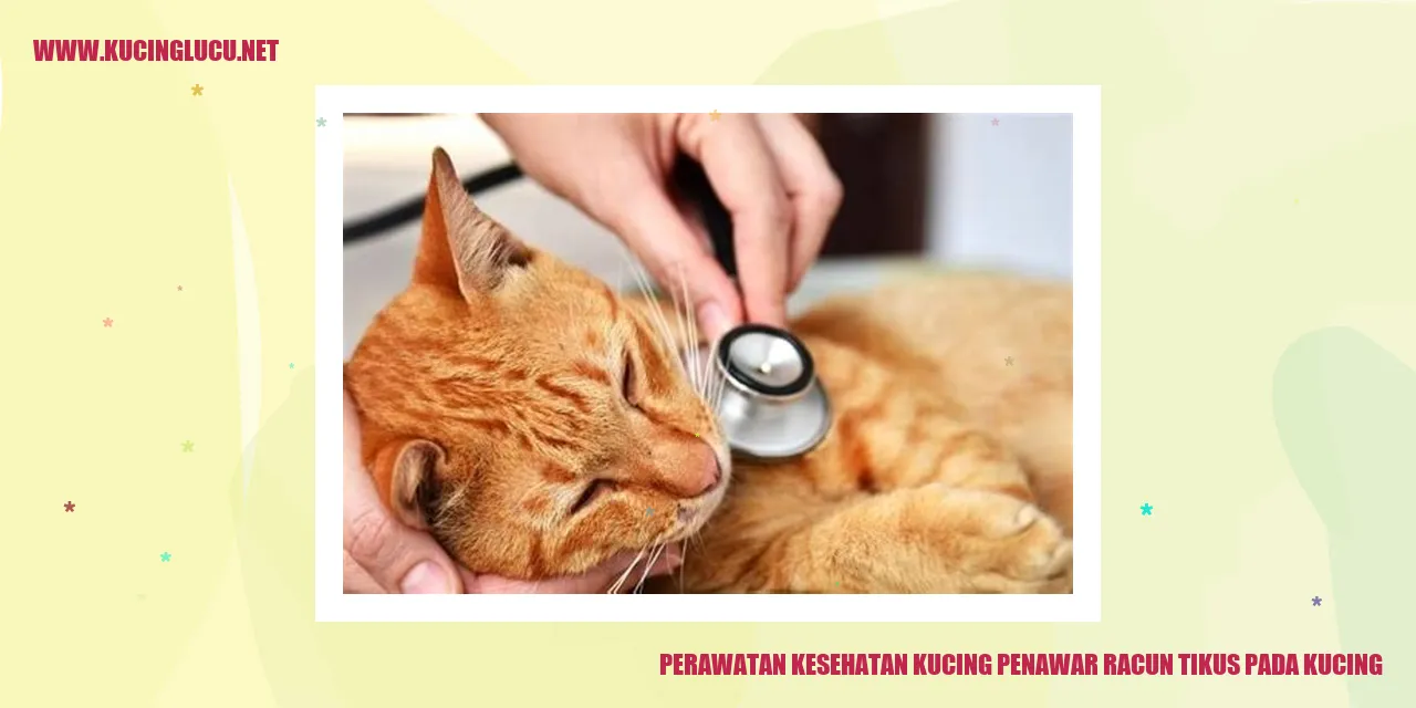 Kucing yang Sehat
