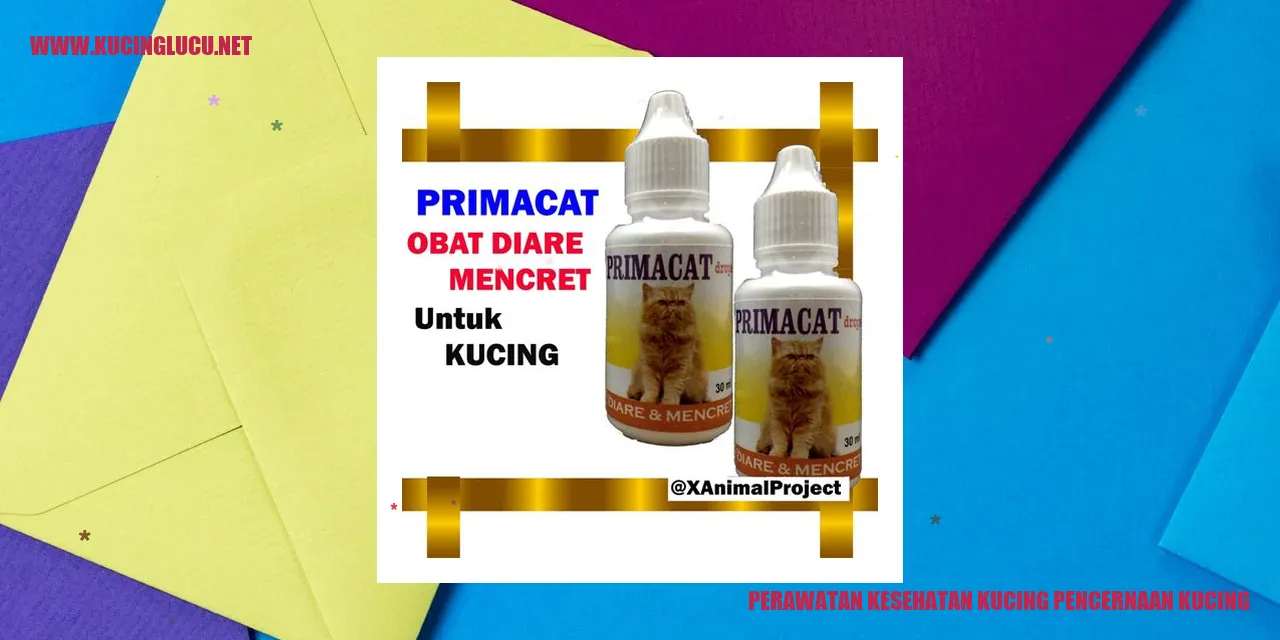 Gambar Kucing