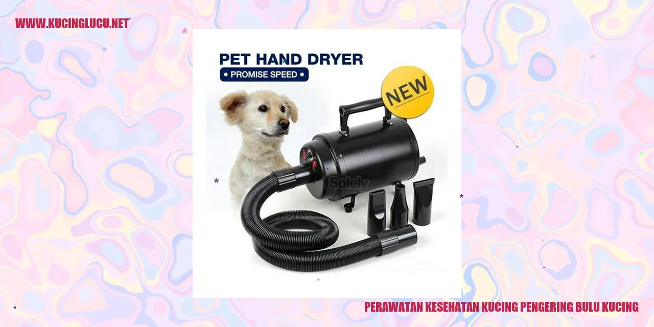 Gambar Pengering Bulu Kucing