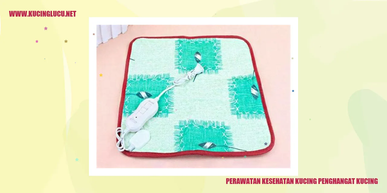 Kucing duduk di depan penghangat