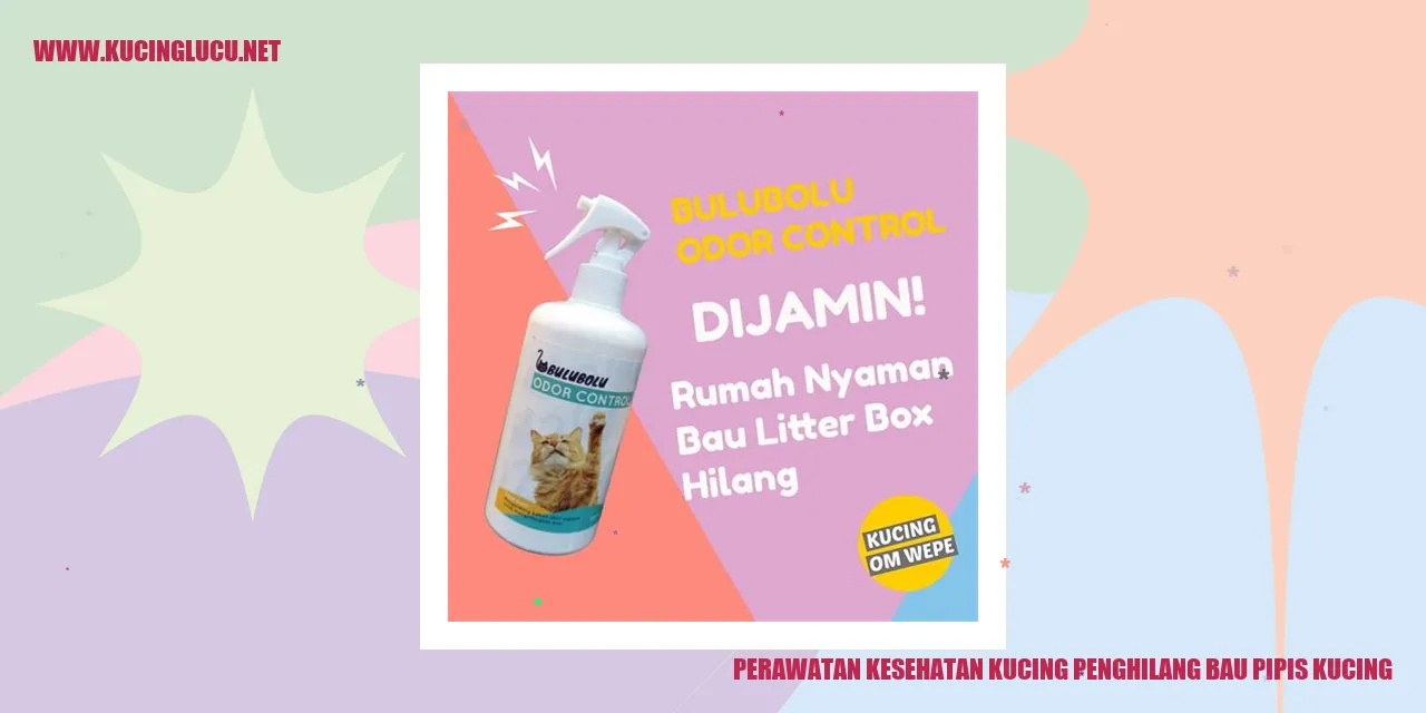 kucing