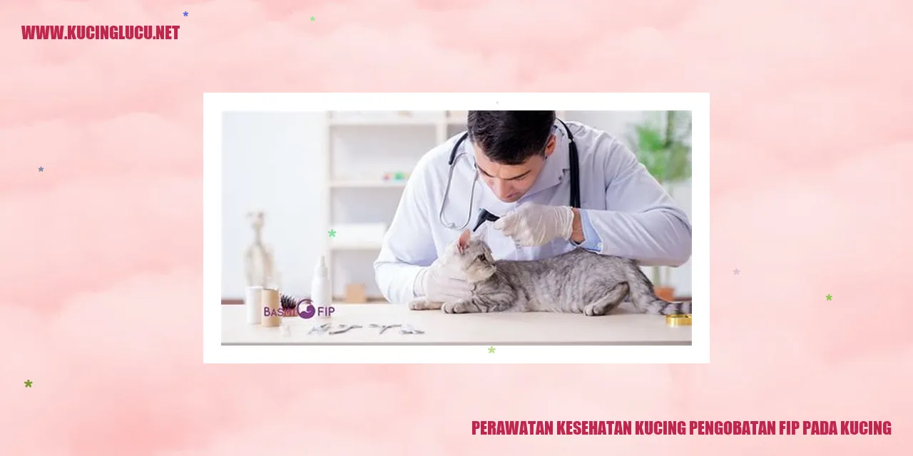 Perawatan Kesehatan Kucing