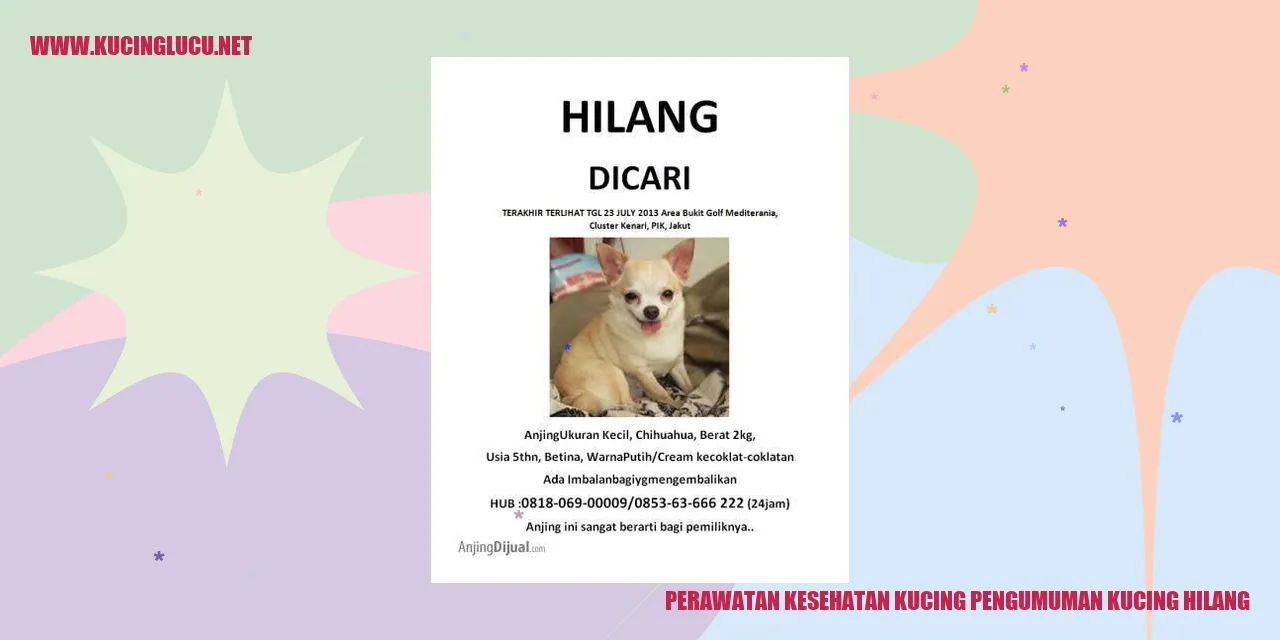 Perawatan Kesehatan Kucing