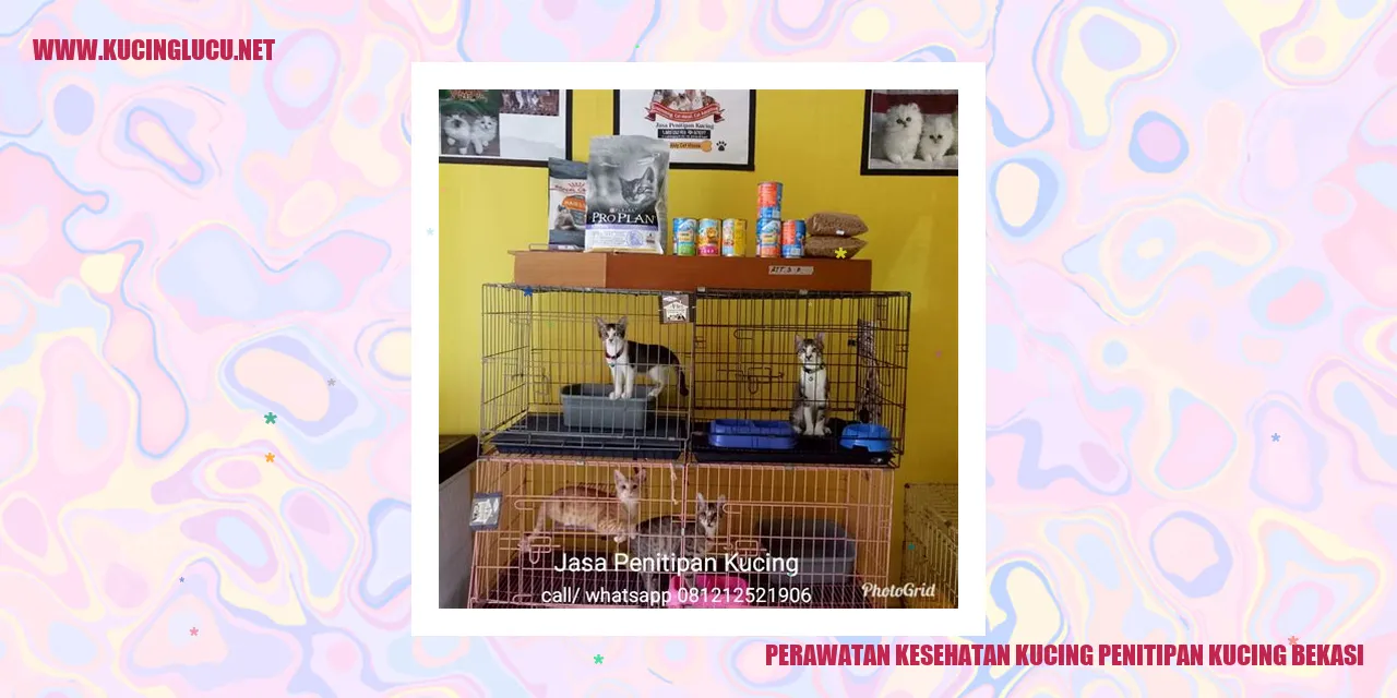 Perawatan Kesehatan Kucing