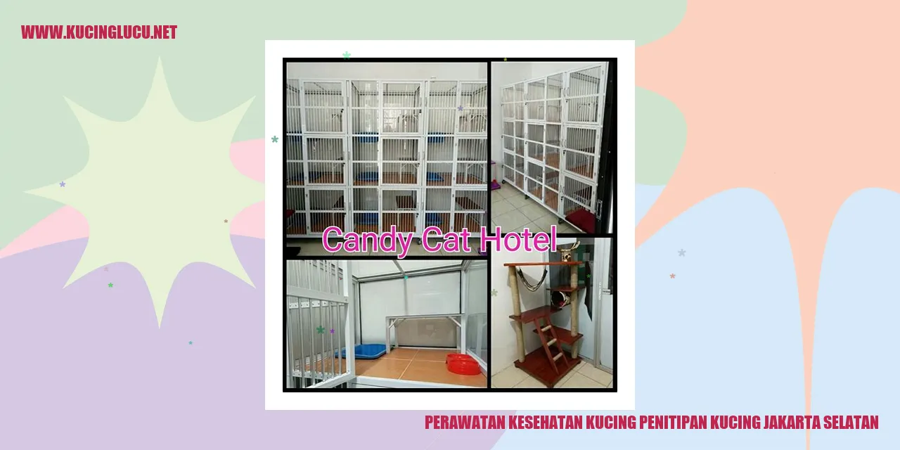 Perawatan Kesehatan Kucing