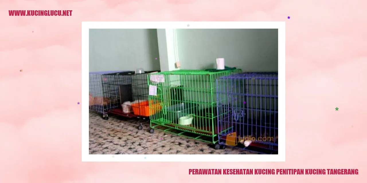 Perawatan Kesehatan Kucing