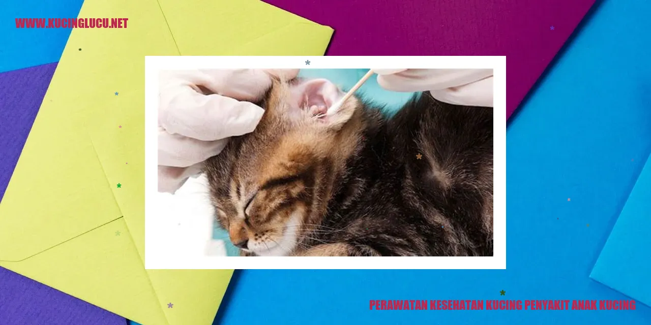 persebaran penyakit anak kucing