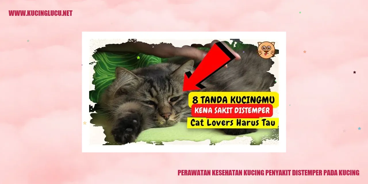 Kucing terkena penyakit distemper
