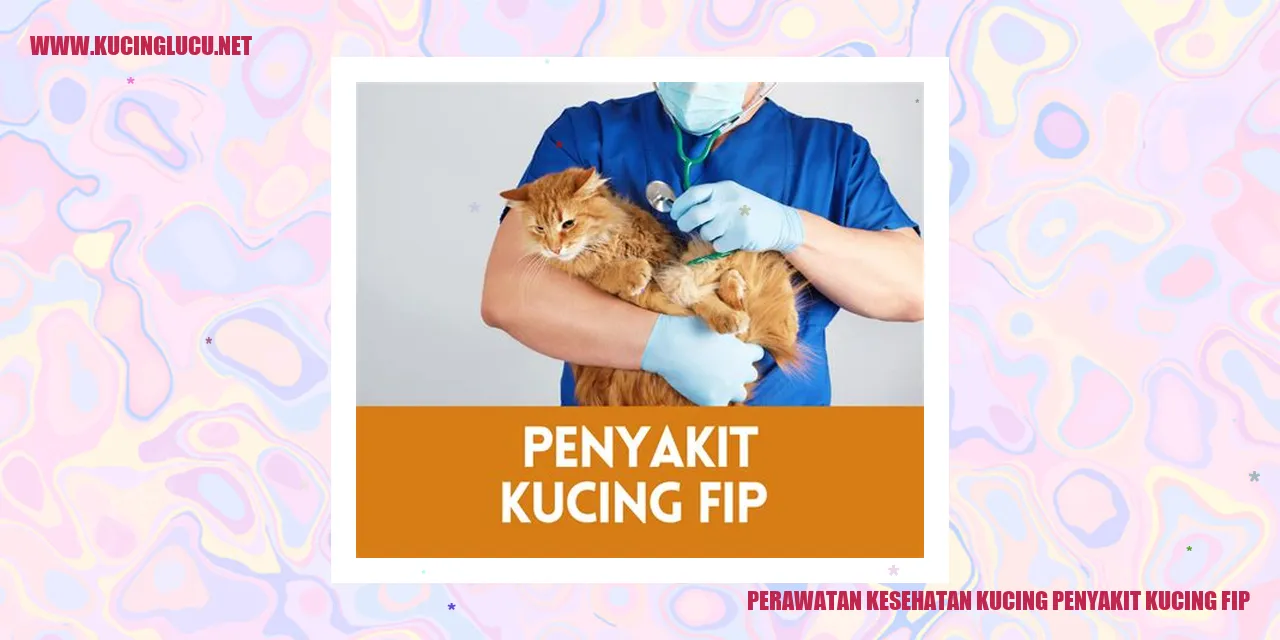 Perawatan Kesehatan Kucing - Penyakit Kucing FIP