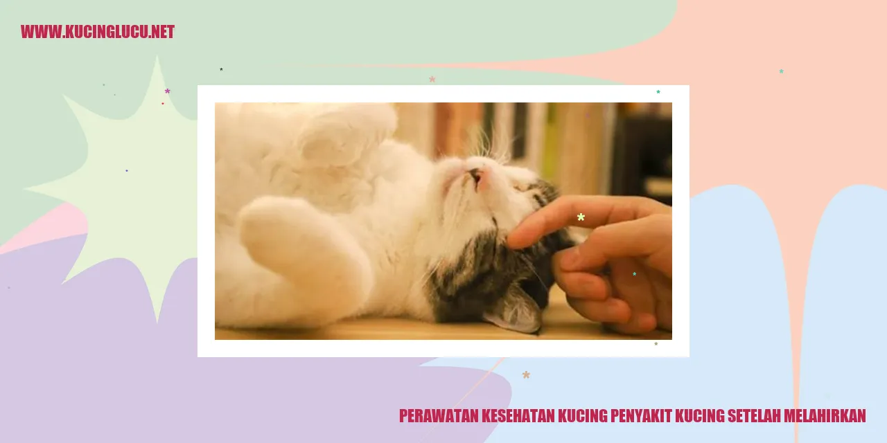 Perawatan Kesehatan Kucing Setelah Melahirkan