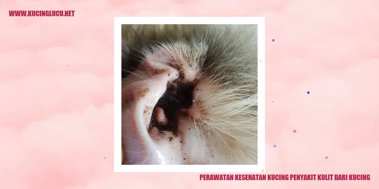 Perawatan kesehatan kucing