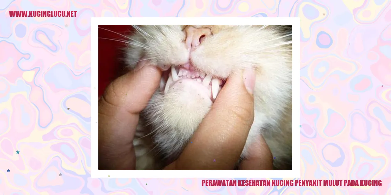 Perawatan Kesehatan Kucing