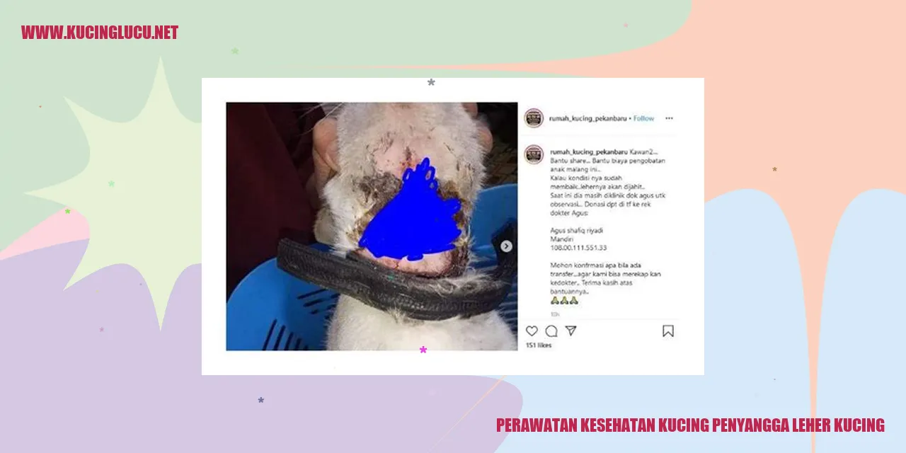 Perawatan Kesehatan Kucing penyangga leher kucing