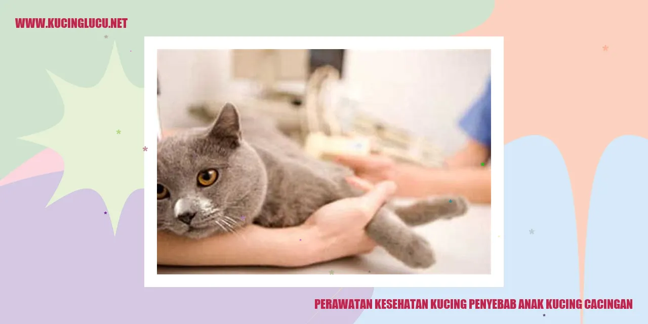 Kucing dengan cacingan