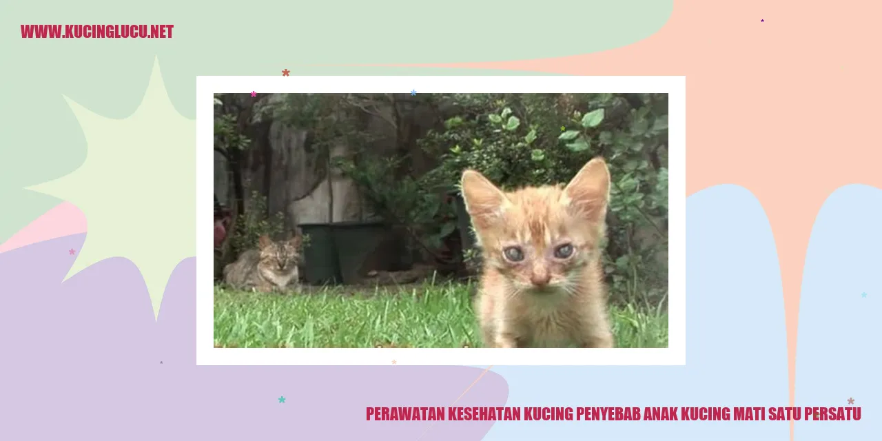 Perawatan Kesehatan Kucing