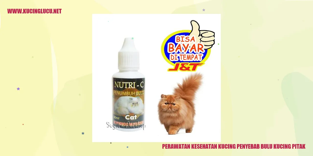 Gambar Kucing dengan bulu pitak