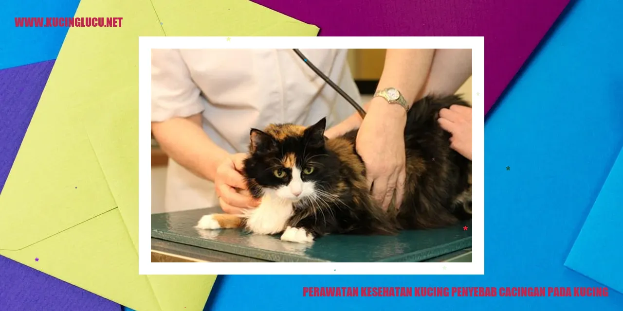 Perawatan Kesehatan Kucing penyebab cacingan pada kucing
