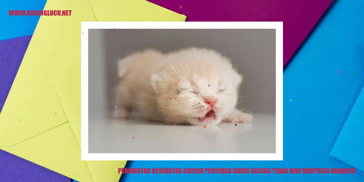 Perawatan Kesehatan Kucing penyebab induk kucing tidak mau menyusui anaknya