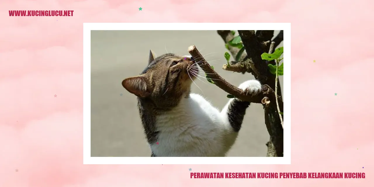 Gambar Kucing yang Menggemaskan