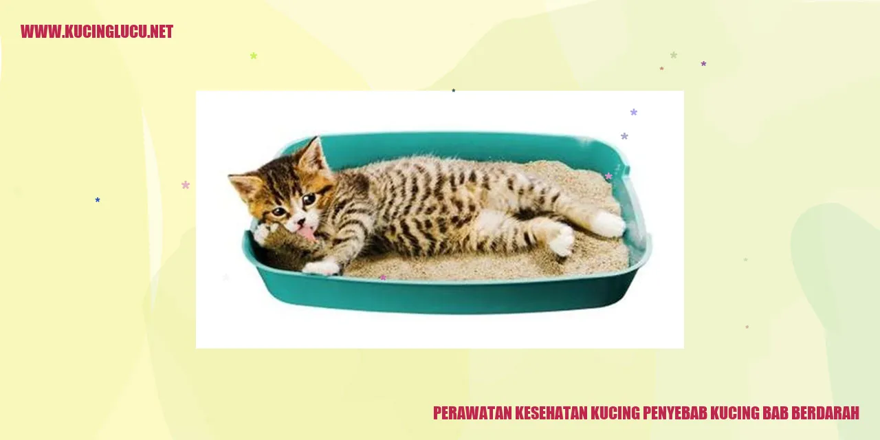 Kucing sehat