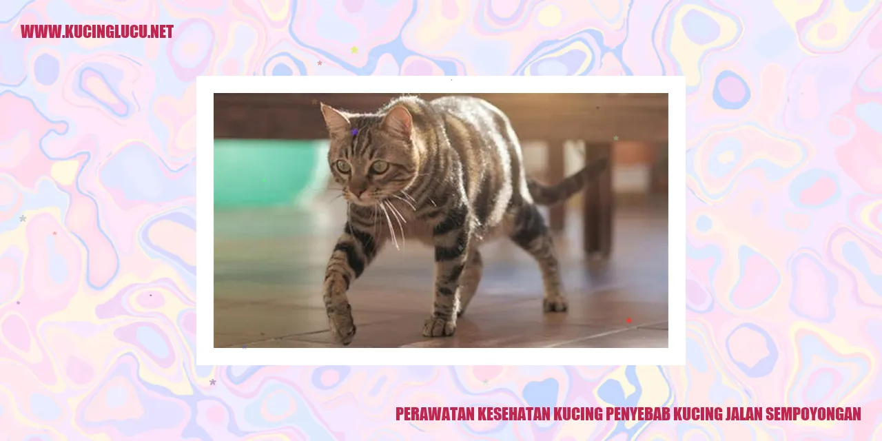 Perawatan Kesehatan Kucing