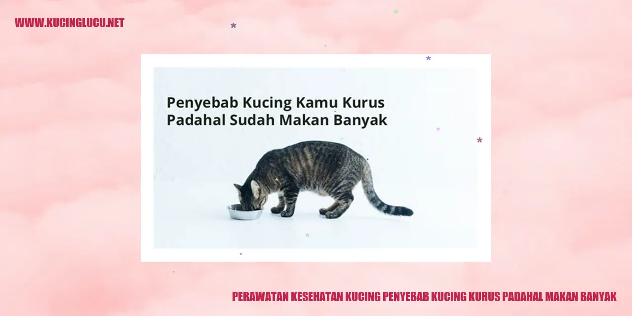 Perawatan Kesehatan Kucing