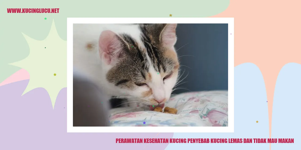 Kucing Lemas dan Tidak Mau Makan