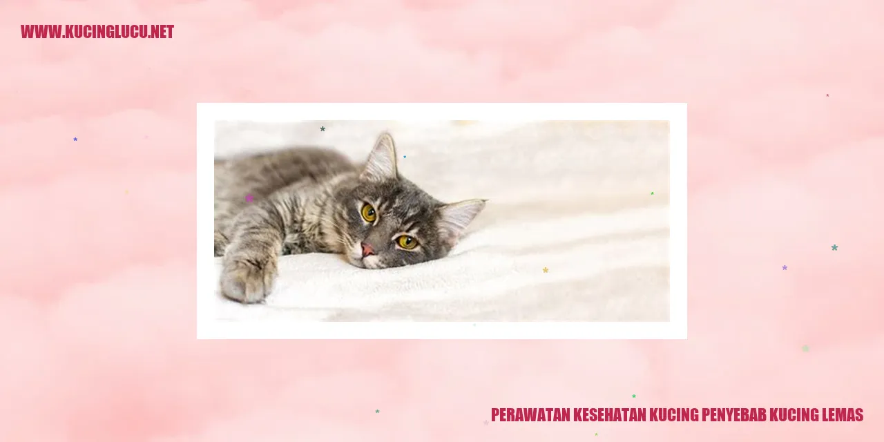 Perawatan Kesehatan Kucing