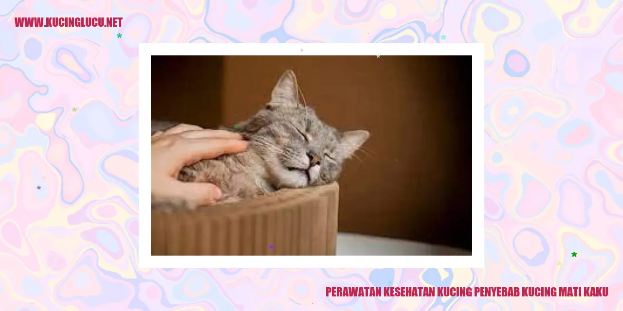 Perawatan Kesehatan Kucing