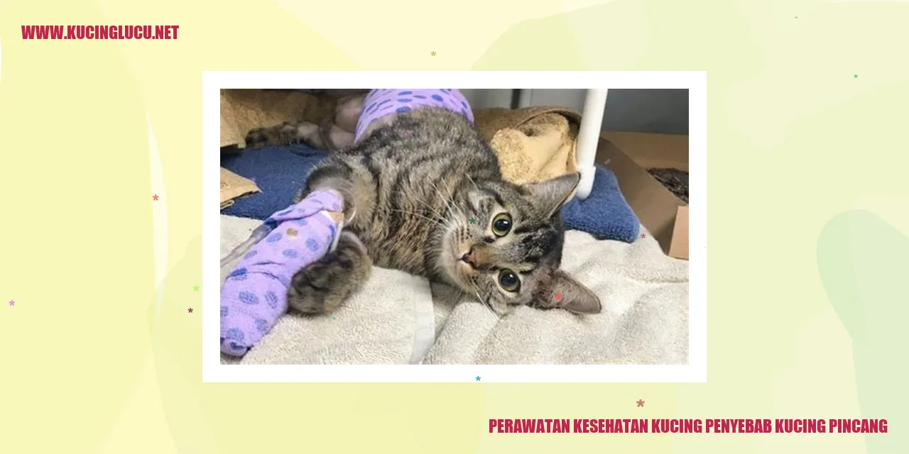 Perawatan Kesehatan Kucing penyebab kucing pincang