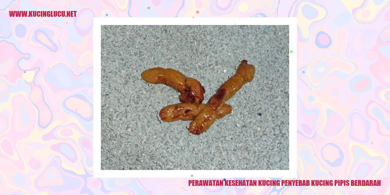 Perawatan Kesehatan Kucing