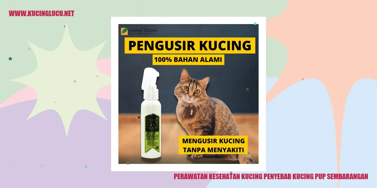 Perawatan Kesehatan Kucing