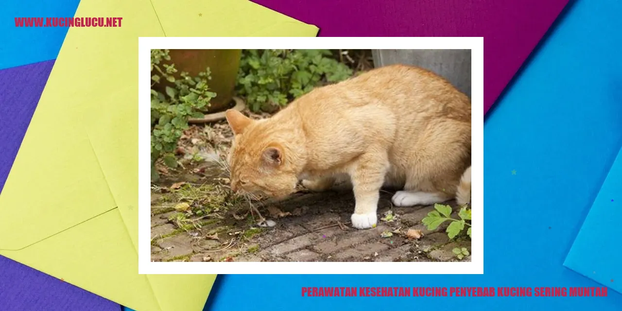 Gambar Kucing yang Muntah