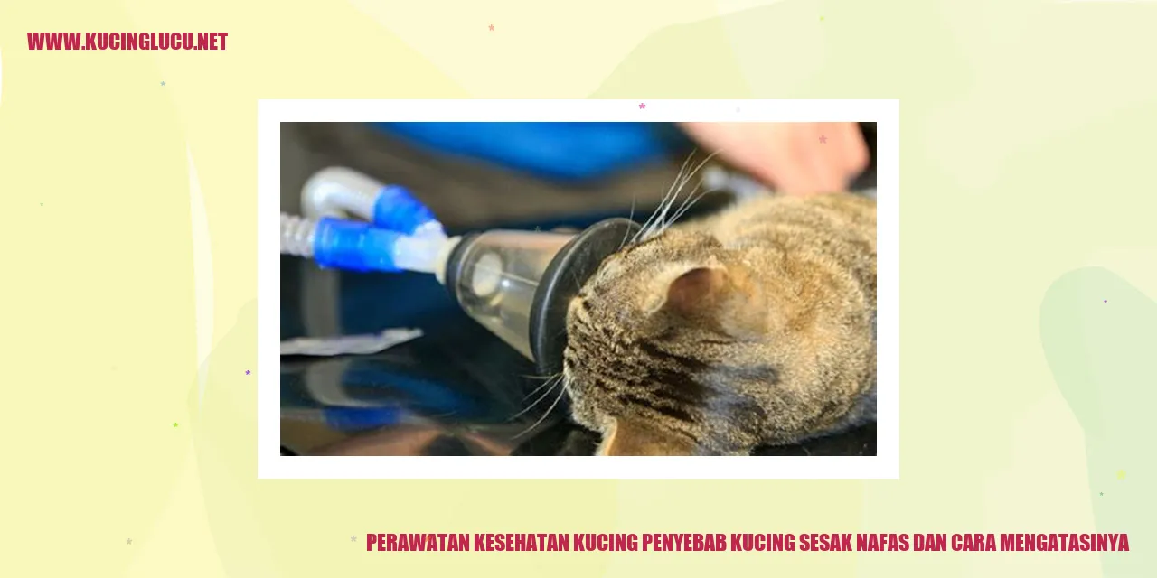 Ilustrasi Kucing