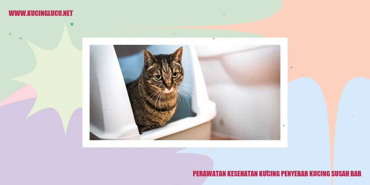 Perawatan Kesehatan Kucing Penyebab Kucing Susah Bab