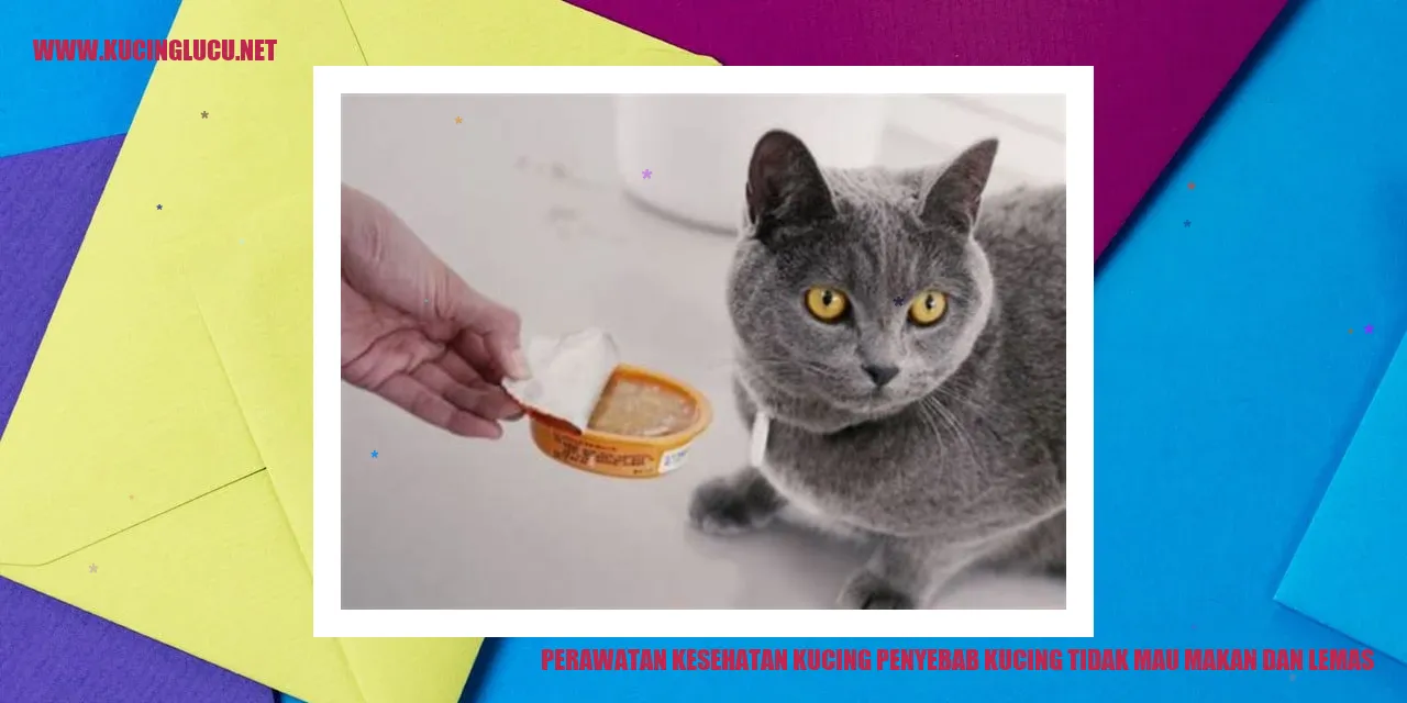 Perawatan Kesehatan Kucing