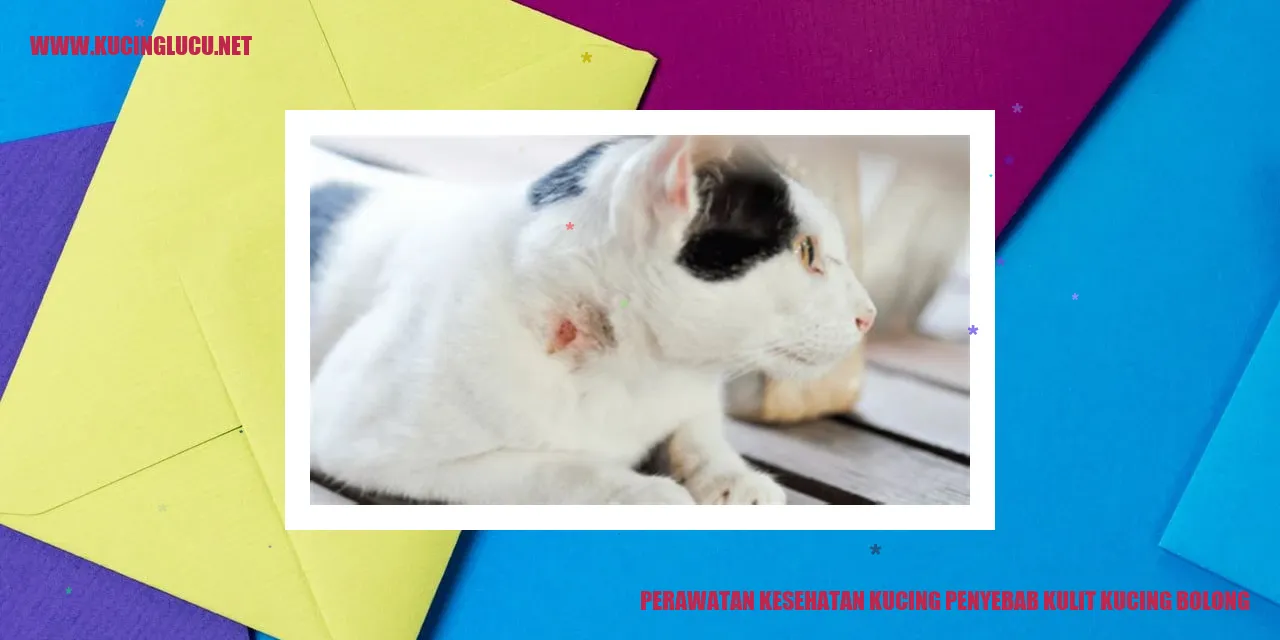 gambar kucing yang menggemaskan