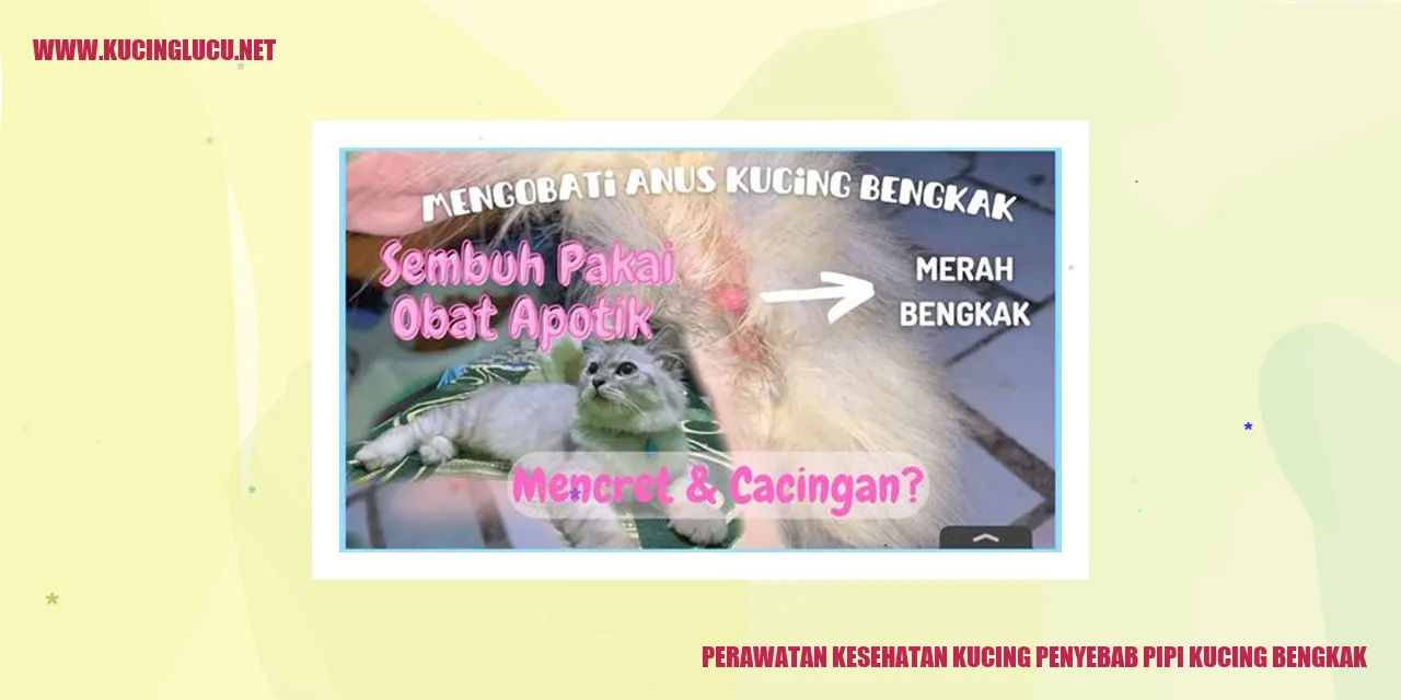 Kucing dengan pipi bengkak