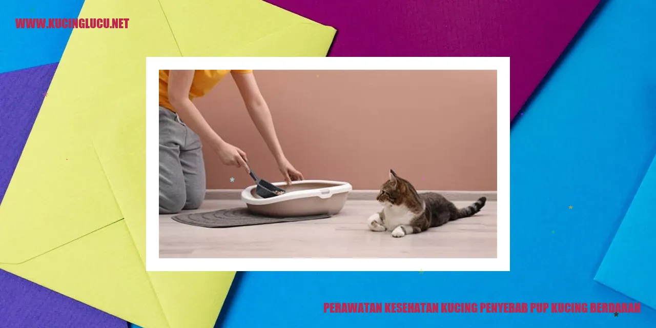 Perawatan Kesehatan Kucing