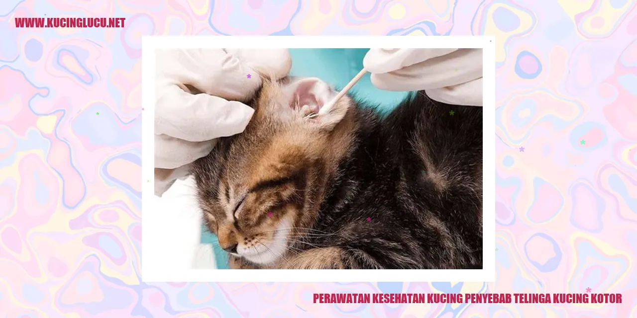 Perawatan Kesehatan Kucing
