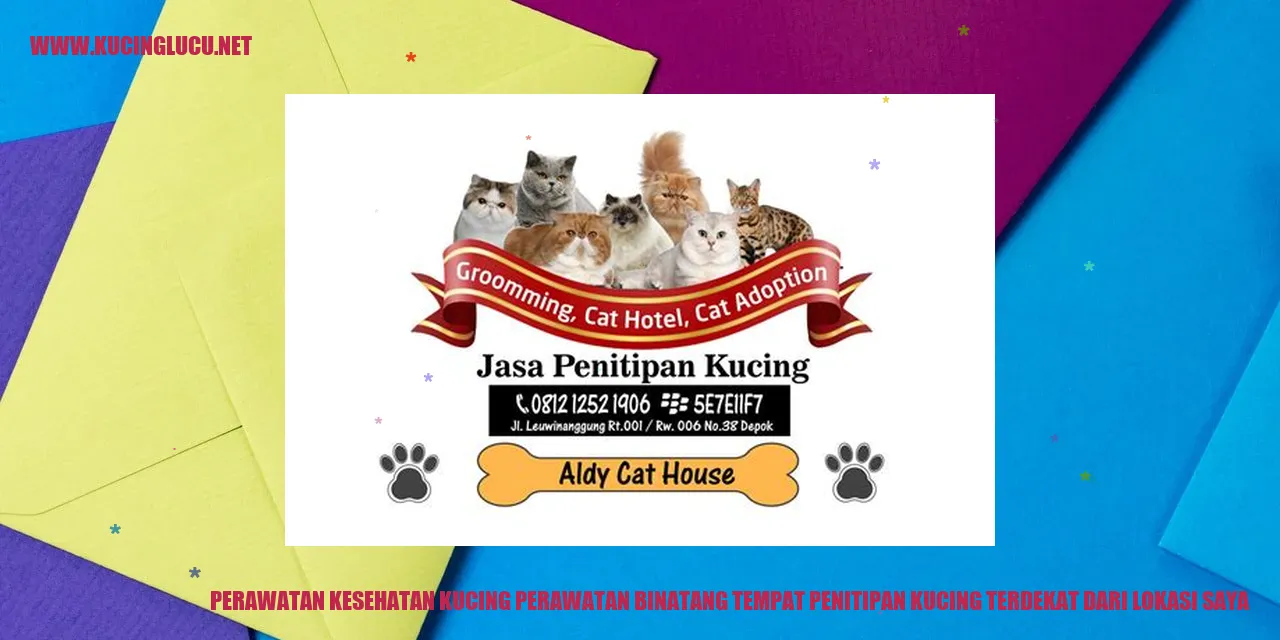 Perawatan Kesehatan Kucing
