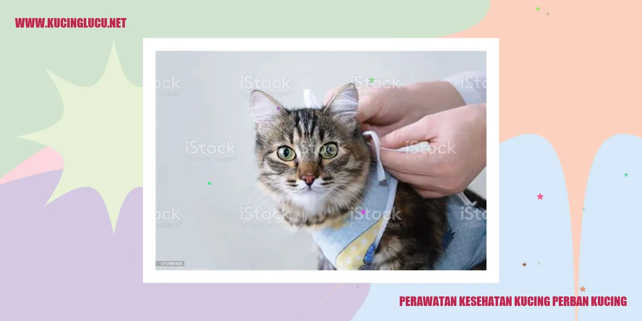 gambar kucing dengan perban