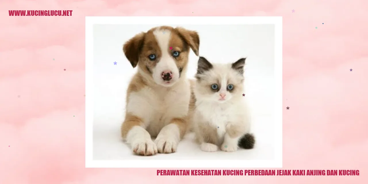 Gambar Kucing dan Anjing