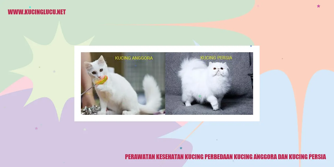 Perawatan Kesehatan Kucing